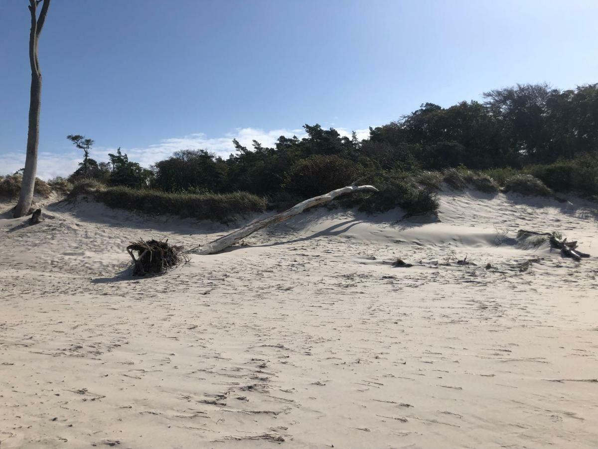 Prerow „Seaside“-Strandnah! Buitenkant foto