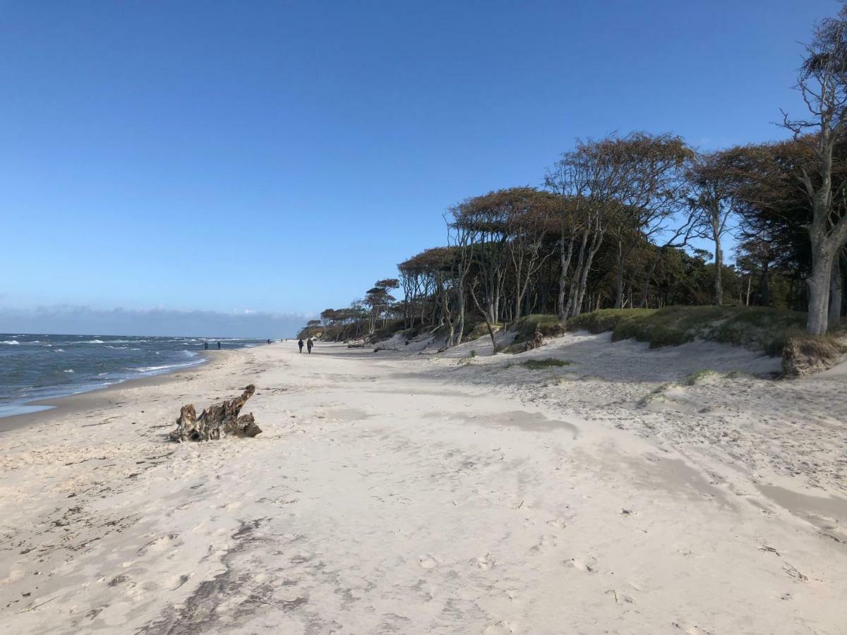 Prerow „Seaside“-Strandnah! Buitenkant foto
